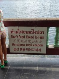 на китайском написали "не ловить рыбу" видимо, были прецеденты