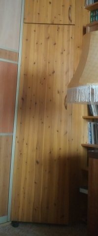 Не вставая с дивана. Чистая ель: