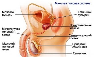 И вот только такой картинки в разрезе и даже с пояснениями тут не хватало.