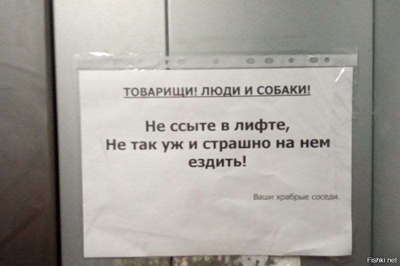 Странные и забавные объявления