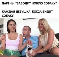 Где можно посмотреть это видео? Друг-кинолог интересуется.