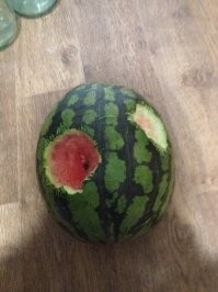 У меня собакен лихо тявкает, любит в фруктах дырки прогрызать. Хорошо хоть у нас ягуаров не водится.
Завтрак....