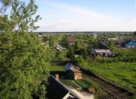 Откопал)) моя первая мыльница, моя первая съемная квартира. Вид из окна на частный сектор. Лет 15-16 назад.