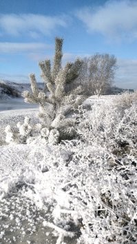 Забайкалье  -32