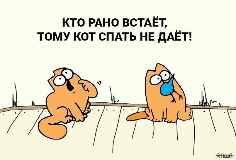 Не позволяли вставать. Кто рано встает. Кто рано встает приколы. Кто рано встает тот. Рано вставать прикол.