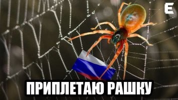 Известный фотограф Рене Робер замерз на центральной улице Парижа