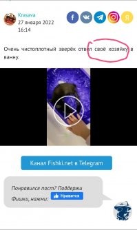 Куда и зачем так торопиться, ведь в посте всего одно предложение.
