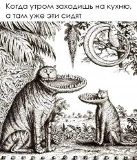 Кот, достойный "Оскара"