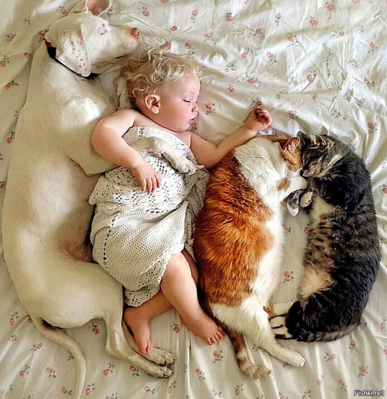 Делал, делал, а потом устал и бросил дело. 
Вот добавка: