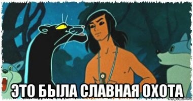 Собаки попытались напасть на ягуара