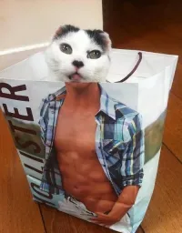 Вариант идеального мужчины?
Простите, а до ветеринара, или после?