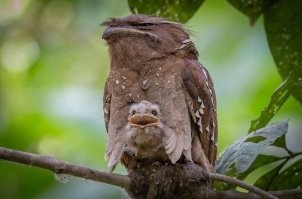 Мать не выспалась, а дите требует уже))))