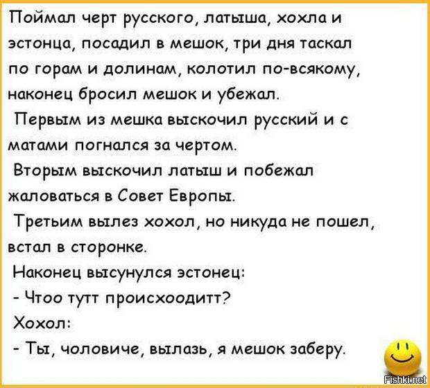 Анекдот про соль деньги. Анекдот про зайца волка и медведя. Анекдот про медведя. Шутка про медведя и зайца. Анекдот про зайца.