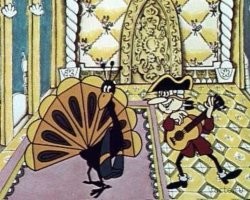 Смешные и харизматичные птицы