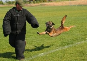 К пакету надо было спецодежду добавить.