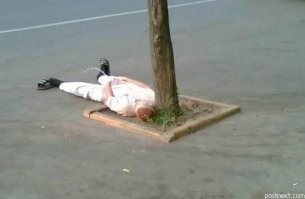 В Москве обсудят модернизацию собачьих площадок
