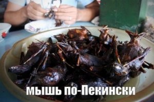 "О, жрачка приехала!": спортсмены показали столовую в Пекине