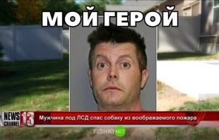 Про "Премии Дарвина"