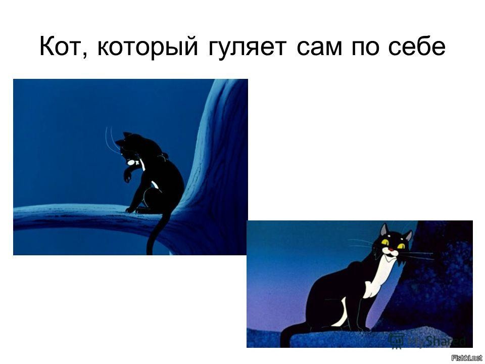 План кот который гулял сам по себе план