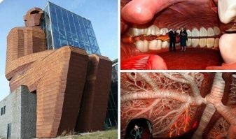 Бывал , вход в тело происходит через ногу , жена лет 15 назад начиталась про сие чудо и мне пришлось ехать туда  кстати там очень интересное интерактивное шоу видео .