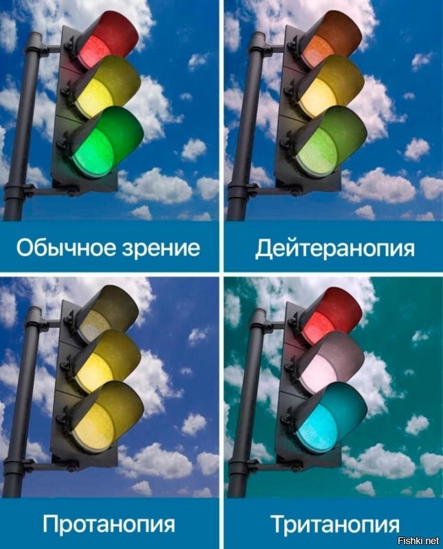Ну при всех трех видах красный темнее, так что они должны различать.