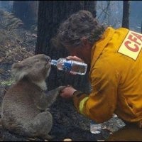 15 трогательных кадров, которые доказывают, что счастливый конец существует