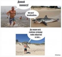 15 трогательных кадров, которые доказывают, что счастливый конец существует