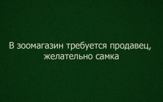 Забавные объявления и реклама 