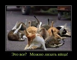 Британские железные дороги