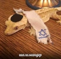 Хамелеондер смотрелся бы органичнее