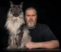 Животные, которые очень похожи на своих хозяев