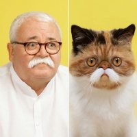 Животные, которые очень похожи на своих хозяев