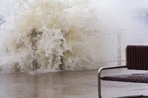 Сегодня слегка ветренно. Шторм Надежда. Разгулялась Надька. Уже больше десятка деревьев свалила.  Третий шторм за последние две недели. Фото не мои.