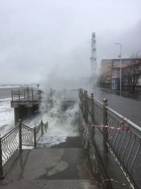 Сегодня слегка ветренно. Шторм Надежда. Разгулялась Надька. Уже больше десятка деревьев свалила.  Третий шторм за последние две недели. Фото не мои.