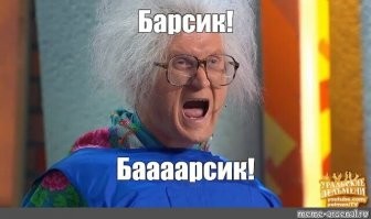 Крепко спавший кот напугал свою хозяйку