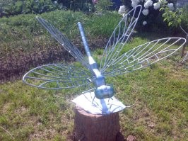 Летом стрекозу где угодно можно встретить... Моя, например, а пенёчке сидит.