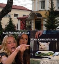 Кот как будто на казахском прочитал......