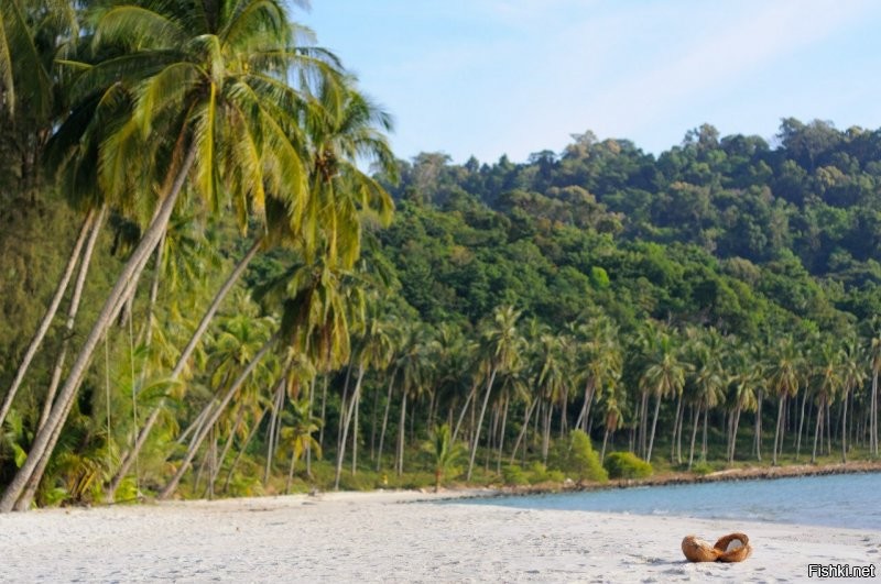 Знаешь, как легко отличить адекватного человека, от неадекватного? Адекватный человек, с 20 сообщения, начинает хоть немного прислушиваться, когда еиу говорят, что то умное, основаное, на законах, фактах, доказательстах.
То что ты несешь, это называется мусор. Твои суждения типа" ну чувак признался, что стримил, значит стримил" это уровень младшей группы детского сада. Твой уровень понимания "юридических процедур это "он сказал, что не крал, изначит не крал".  " Он стримил, значит нарушил, значит женщина правильно набросилась физически" то уровень мышления дибила, который неспособен даже логическую цепочку правильно выстроить. Я и говорю, на таких людях как ты, юристы и кто поумнее деньги зарабатывают, а такие как ты только сопли жуют со своим пониманием законов и жизни. Точнее, такие как ты, нихнера не понимают, вершина их понятий и достижений в жизни, это обосрать кого в интернете) 
По поводу меня. Ты можешь назвать меня хоть бараном, хоть кем угодно, думаешь меня это как то оскорбить? Может это уменьшит количество моего имущества, или мой достаток? Или как то отразится на моей жизни? Да совсем дурак? Ты это серьёзно?))) Прочитай басню слон и моська "да, моська, знать она сильна, коль лает на слона".  Остальные бредни даже читать не хочется. Про преступность и прочее.  Надо просто выбирать места, где минимум быдла и работают законы и люди вокруг по мелочам из за ерунды друг на друга не набрасываются, это не их уровень. Ты своим мелким мозгом даже не понимаешь, что можно жить по другому. Ты попробуй проедь по странам, и Европы и Азии, и Америки и островам разным. Посмотри как живут в Сингапуре каком нибудь, Исландии, Норвегии, Щвейцарии мелких городках, на островах дальних, многих просто не закрывают машины и двери, где драка это раз в несколько лет, там другое понятие и ощущение безопасности и счастья жизни.  Это просто другой мир, такого быдла как эта тетка ты просто не увидишь. Жаль ты своим тупым мозгом этого не понимаешь, что можно жить по другому, и люди живут по другому по закону, и для них что кто то кого снимает на камеру это вообще не повод даже внимания обратить, люди счастливы и расслаблены, у них нет агрессии и повода вообще устраивать скандал из за ерунды, им хорошо и нужно к этому стремиться, к нормальной счастливой жизни, а такие как тетка бешеная эта, это существо глубоко несчастное, закомплексованое, которое само не хочет нормально жить в гармонии прежде всего с собой, ведет себя как быдло, набрасывается на людей, выглядит как женщина легкого поведения. Закон и образ мышления это не "мне показалось и я в драку полез" это путь вниз, низшей ступени жизни. Ну тебе не понять, тебе нравится жить как животное, а не человек. Ощущение, что ты дальше каких то подворотен мухосранска ничего не видел в жизни. Я ж говорю, мне тебя просто жаль.