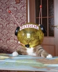 А где друг-Дэймос?