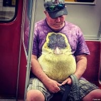 Модники метро Москвы и Санкт-Петербурга на связи