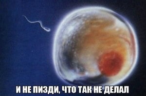 Способы контрацепции от пользователей соцсетей, о которых не знает Елена Малышева