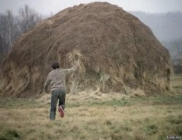 В простонародье это называется СПГС
"...Ученику известного профессора семиотики Юрия Лотмана очень понравился фильм «Полеты во сне и наяву», и он написал мне письмо – разбор фильма. Читать это было невозможно, так как каждому шагу он находил свое объяснение. Например, в фильме есть кадр, где главный герой бежит по полю к стогу сена. А на нем кроссовки с красной подошвой. Критик писал: «Это не просто подошвы – это красные подошвы. Потому что у него горит земля под ногами!» А я вспоминаю, как на площадке орал на реквизитора: «Дура, ты что, не могла найти обувь с нормальными подошвами?!»"