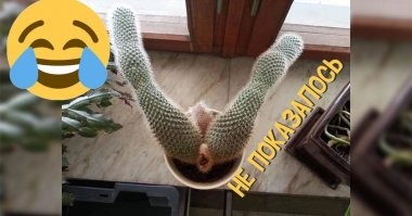 Кому-то лечиться надо: самый пошлый пост на Фишках