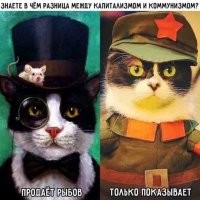 Самое смшеное, что при социализме было на что покупать (деньги вполне себе были), но только показывали, а при капитализме есть что покупать, только вот мне не на что.... Итог-то одинаковый, в обоих случаях - ни хрена нет у меня.  Как и говорил персонаж анекдота - "Как ты, Сарочка, не ложись в брачную ночь, в сорочке или без - тебя всё равно трахнут".