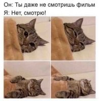 Для тех, кто не в курсе: Если уснуть во время фильма, то фильм продолжится во сне, но с другим сюжетом. В моём варианте, Чапаев переплыл Урал и выжил.