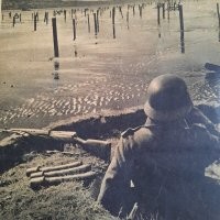 Какая знакомая винтовка!