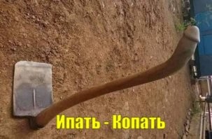 Кому-то лечиться надо: самый пошлый пост на Фишках