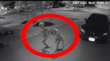 Фотографии, в которые все поверили, а это фейк