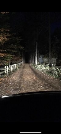 Про домик в лесу - давно известная тема)) а вообще то, есть такое понятие как Парейдоли я, парейдоли ческая иллю зия (от др.-греч. παρά   «рядом, около; отклонение от чего-либо» + εἴδωλον   «изображение»)   разновидность зрительных иллюзий (так называемые «сенсорные иллюзии дополнения» Заключается в формировании иллюзорных образов на основе реальных объектов. Таким образом, смутный и невразумительный зрительный образ воспринимается как что-либо отчётливое и определённое   например, фигуры людей, животных или сказочных существ в облаках на звёздном небе, обоях на стене или ковре. У психически здоровых парейдолии могут проявляться, например, в виде ложного восприятия изображения лица человека на поверхности Луны или Марса.