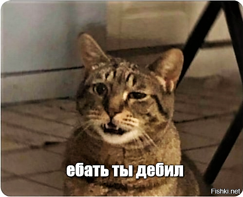 Внезапные факты обо всем на свете: теперь живите с этим